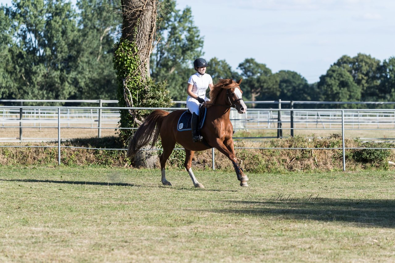 Bild 79 - Pony Akademie Turnier